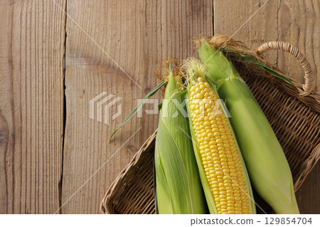 Freshly harvested corn 129854704