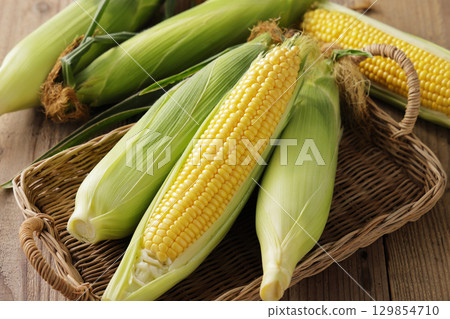 Freshly harvested corn 129854710