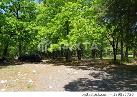 新綠太田川柳瀨露營地風景 129855726