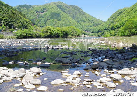 太田川、柳瀨川沿岸的新綠 129855727