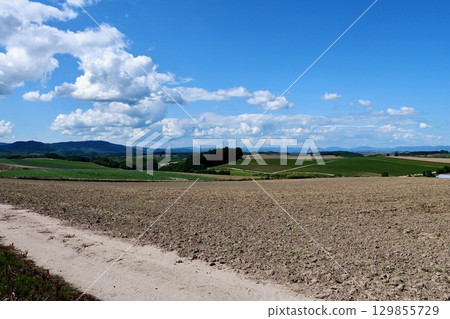"Biei Hills" - a clear blue sky and a vast field where the harvest has partially finished "Biei Hills" - a clear blue sky and a vast field where the harvest has partially finished 129855729