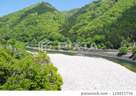 Fresh green scenery along the Ota River Fresh green scenery along the Ota River 129855756