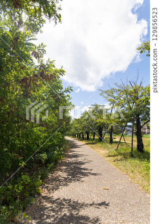 枚方市天野川綠地（步行與健康形象） 129856523