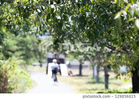 枚方市天野川綠地（步行與健康形象） 129856815