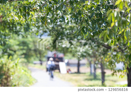 枚方市天野川綠地（步行與健康形象） 129856816