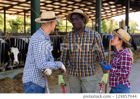Farm workers discussing working process near cowshed 129857044