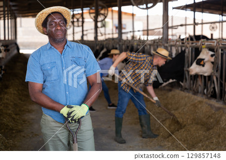 African american farmer holding agricultural tool and standing in cowshed 129857148