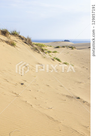 鳥取沙丘的夏日風景 鳥取縣 鳥取沙丘 129857191