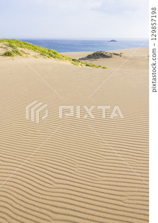 Scenery of Tottori Sand Dunes in summer Tottori Prefecture Tottori Sand Dunes Scenery of Tottori Sand Dunes in summer Tottori Prefecture Tottori Sand Dunes 129857198