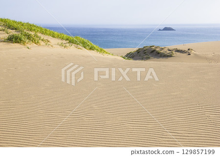 鳥取沙丘的夏日風景 鳥取縣 鳥取沙丘 129857199