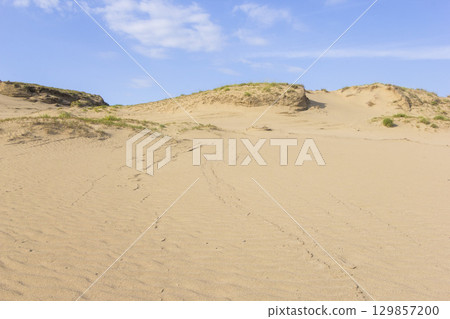鳥取沙丘的夏日風景 鳥取縣 鳥取沙丘 129857200