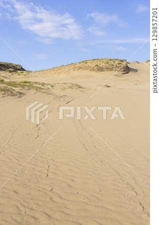 鳥取沙丘的夏日風景 鳥取縣 鳥取沙丘 鳥取沙丘的夏日風景 鳥取縣 鳥取沙丘 129857201