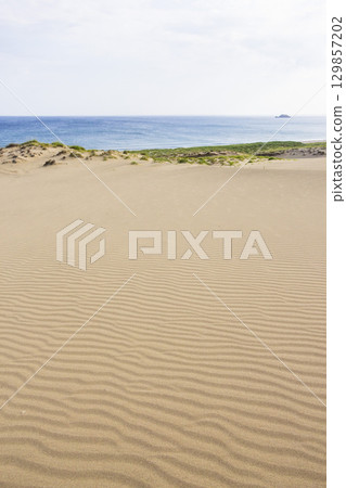 Scenery of Tottori Sand Dunes in summer Tottori Prefecture Tottori Sand Dunes Scenery of Tottori Sand Dunes in summer Tottori Prefecture Tottori Sand Dunes 129857202