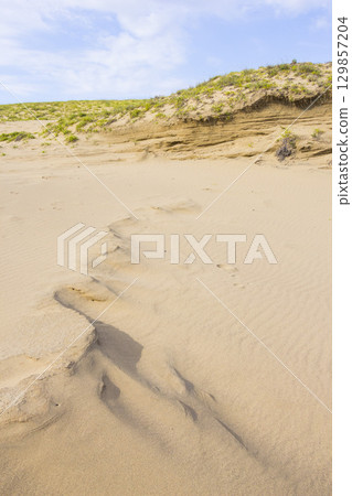Scenery of Tottori Sand Dunes in summer Tottori Prefecture Tottori Sand Dunes Scenery of Tottori Sand Dunes in summer Tottori Prefecture Tottori Sand Dunes 129857204