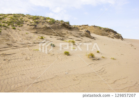 Scenery of Tottori Sand Dunes in summer Tottori Prefecture Tottori Sand Dunes 129857207