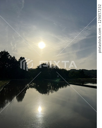 陽光映照的休耕稻田 01 129857232