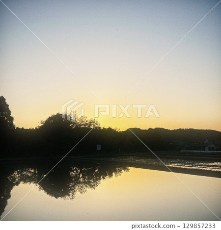 陽光映照的休耕稻田 02 129857233