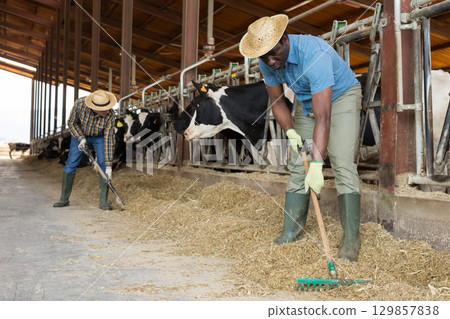 African male farmer in strow hat working in stall African male farmer in strow hat working in stall 129857838