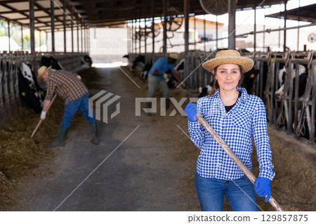 Confident diligent positive cheerful female owner of small dairy farm working in stall, feeding cows with hay Confident diligent positive cheerful female owner of small dairy farm working in stall, feeding cows with hay 129857875