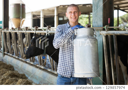 Male farmer holding large metallic milk can in hangar with cows Male farmer holding large metallic milk can in hangar with cows 129857974