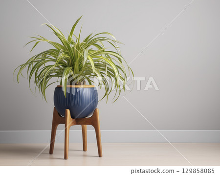 Lush spider plant thrives indoors, potted in navy blue ceramic pot and showcased on wooden stand, radiating sense of tranquility and natural beauty 129858085