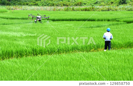 Pesticide spraying by drone 129858750