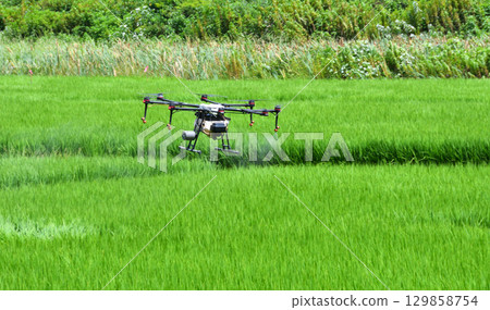 Pesticide spraying by drone Pesticide spraying by drone 129858754