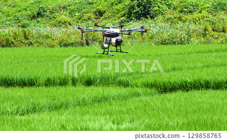 Pesticide spraying by drone 129858765