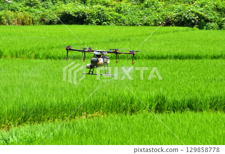 Pesticide spraying by drone Pesticide spraying by drone 129858778