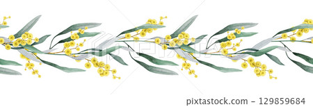 Golden wattle flowers seamless border decor element watercolor illustration. Acacia pycnantha Australian national floral emblem. Golden acacia Australia native plant decoration on white background Golden wattle flowers seamless border decor element watercolor illustration. Acacia pycnantha Australian national floral emblem. Golden acacia Australia native plant decoration on white background 129859684