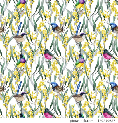 Golden wattle flowers with Australia native birds seamless pattern. Hand drawn vintage style watercolor illustration. Golden acacia floral decor with birds elegant pattern design on white background 129859687
