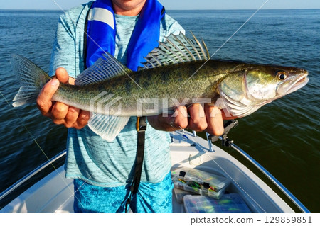 Angler Holding a Freshly Caught Walleye Fish on a Boat, Celebrating a Successful Fishing Trip Angler Holding a Freshly Caught Walleye Fish on a Boat, Celebrating a Successful Fishing Trip 129859851