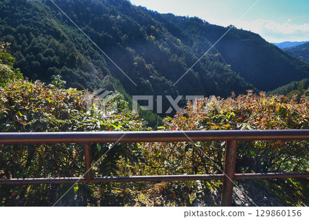 Kyoto Jingoji Temple, Kawarake Throwing, Kinunkei throwing tiles (Ukyo Ward, Kyoto City, Kyoto Prefecture) 129860156