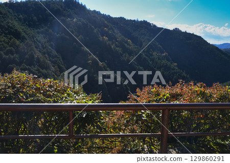 Kyoto Jingoji Temple, Kawarake Throwing, Kinunkei throwing tiles (Ukyo Ward, Kyoto City, Kyoto Prefecture) Kyoto Jingoji Temple, Kawarake Throwing, Kinunkei throwing tiles (Ukyo Ward, Kyoto City, Kyoto Prefecture) 129860291