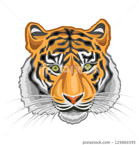 Royal Bengal Tiger Head 129860395