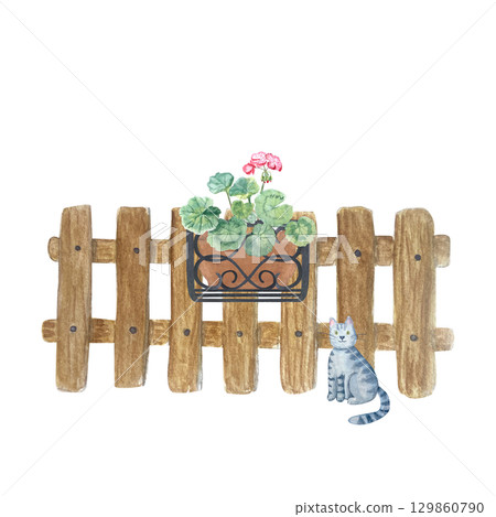 Wooden fence with pot of geraniums in iron holder and grey cat. Hand-painted perfect for cottage designs, outdoor illustrations, landscaping projects. Rustic garden watercolor isolated on white 129860790