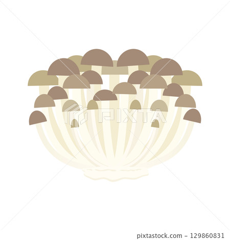 姬菇插圖圖標 姬菇插圖圖標 129860831