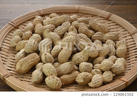 花生 花生 129861502