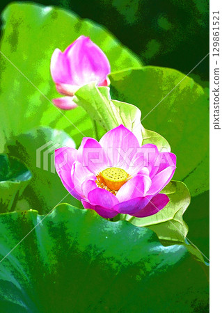 Healing windowsill with lotus flowers Healing windowsill with lotus flowers 129861521