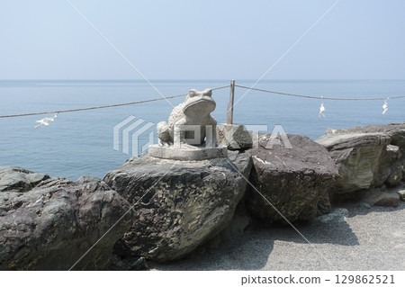 Futamiura Frog Futamiura Frog 129862521