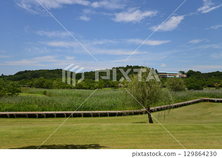 日沼自然公園 2025-6-28 #102 129864230