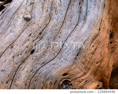 Wood Grain Texture Background - Heartwood Surface. Wood Grain Texture Background - Heartwood Surface. 129864446