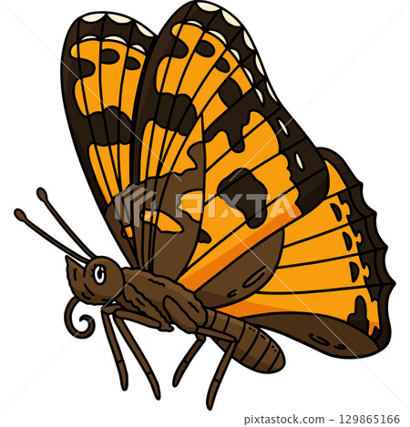 Insect Painted Lady Butterfly Animal Clipart  129865166