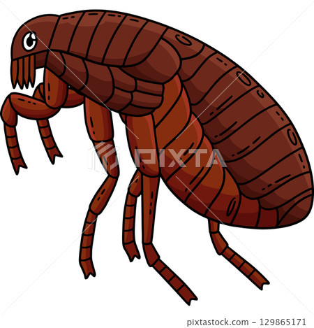 Insect Flea Animal Cartoon Colored Clipart  129865171