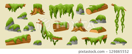 Cartoon moss plants. Slichen, vines on log, tree trunk, stone with green. Jungle vegetation, swamp texture for game. Vector cartoon flat style isolated illustration, forest element garish background 129865552