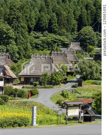 從良川河岸眺望的夏季深山茅葺村 129865891