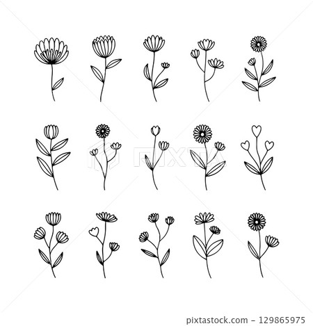 Delicate Floral Outline. Thin line floral elements in a hand-drawn style, ideal for subtle botanical patterns or minimalistic nature-themed designs. 129865975