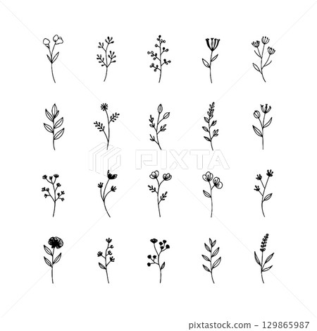 Delicate Floral Outline. Thin line floral elements in a hand-drawn style, ideal for subtle botanical patterns or minimalistic nature-themed designs. Delicate Floral Outline. Thin line floral elements in a hand-drawn style, ideal for subtle botanical patterns or minimalistic nature-themed designs. 129865987