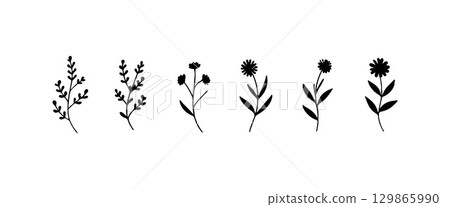 Simplified Botanical Sprigs. Simplified floral sprigs with oval petals and minimal hand-drawn elegance in black and white. 129865990