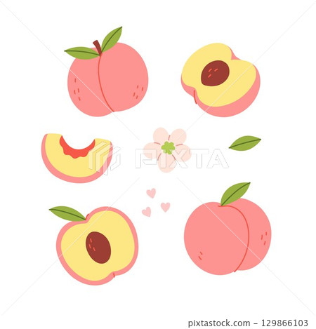 Set of simple peaches and halves. Vector graphics. Set of simple peaches and halves. Vector graphics. 129866103